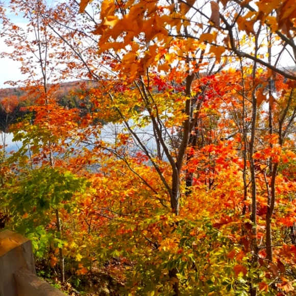 Meet your Posher, Superior - Picture 1 of 1